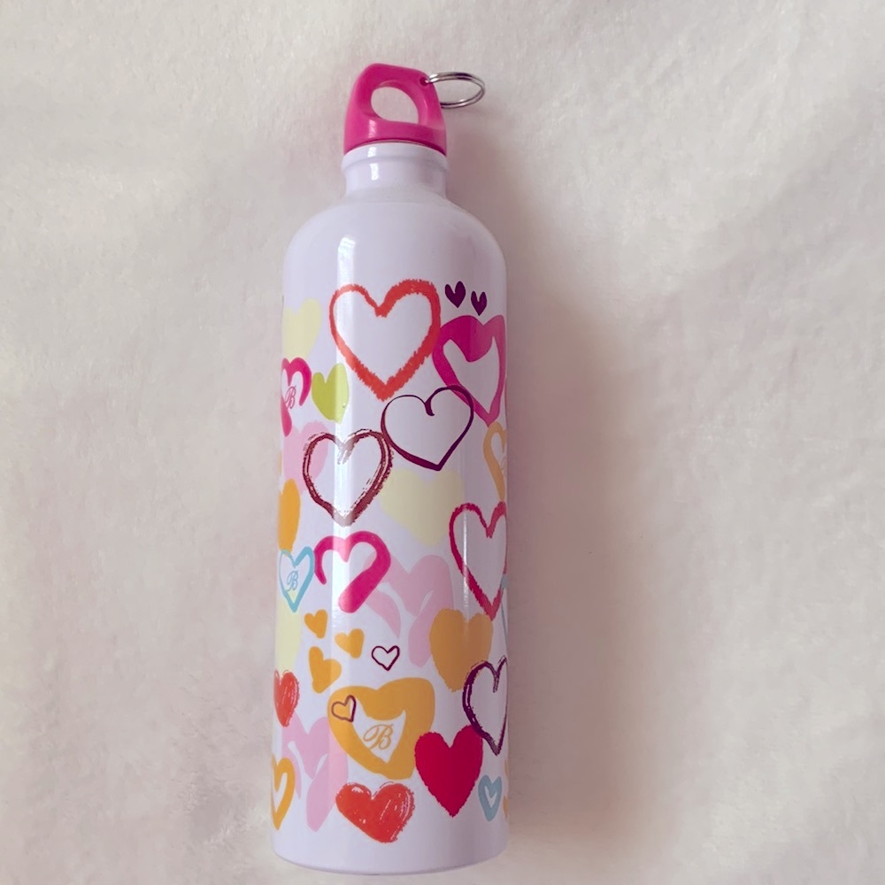 Brighton Metal Water Bottle with hot pink screw on cap